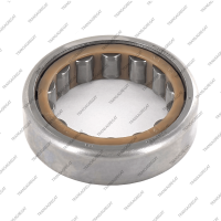 Подшипник ведомого шкива задний, входного вала (43x66x17.0, роликовый)*