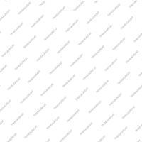 Поршень (155x57x16.0) C2 (Direct, обрезиненный, с 10 внешними зубами)