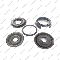 Комплект поршней (5шт., обрезиненные)