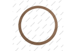 Фрикционное кольцо гидротрансформатора (286x254x1.7)